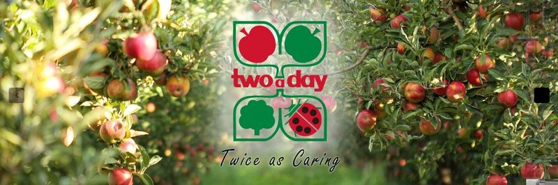 Two-a-Day Group (Pty) Ltd - supplier and manufacturer from 남아프리카공화국