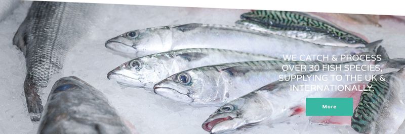 OCEAN FISH CO - supplier and manufacturer from 영국