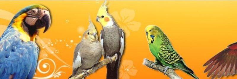Farma Kleibl - supplier and manufacturer from 체코