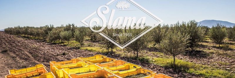 SLAMA HUILES-food - supplier and manufacturer from 캐나다