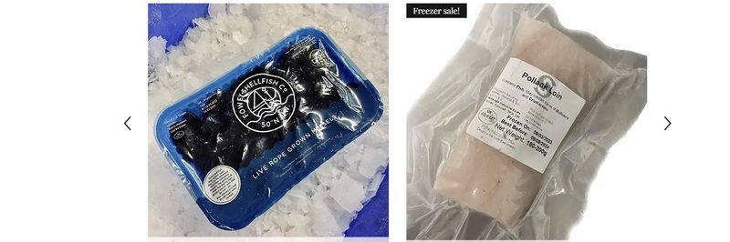 Matthew Stevens Cornish Fish - supplier and manufacturer from United Kingdom