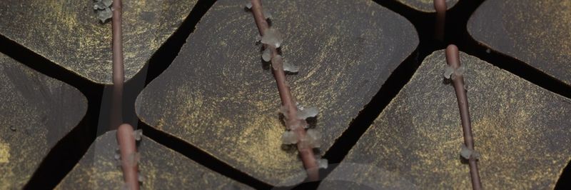 Cocosia Artisan Chocolates - supplier and manufacturer from 아랍 에미리트 연합국