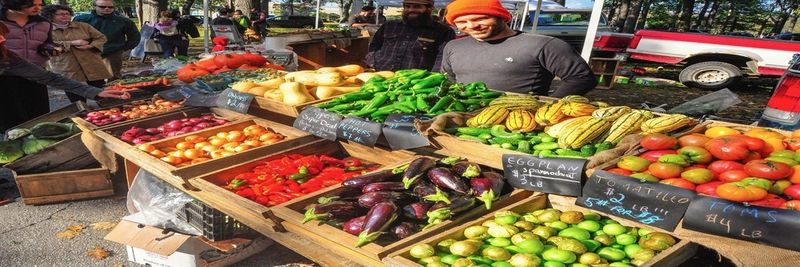 Thirty Acre Farm - supplier and manufacturer from 미국