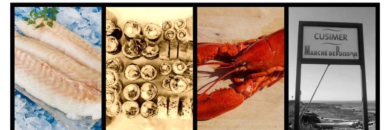 Cusimer - supplier and manufacturer from 캐나다