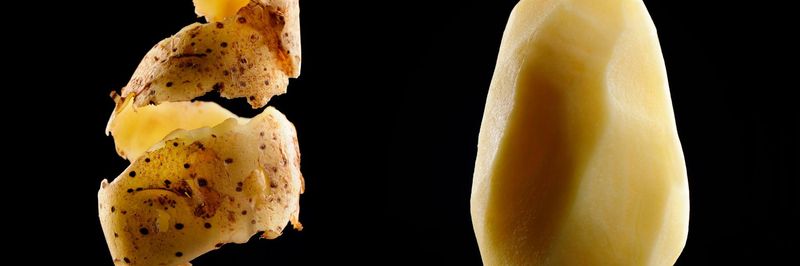 Wild Potato and Onion Market GmbH (Wild Kartoffelverarbeitung GmbH) - supplier and manufacturer from Germany