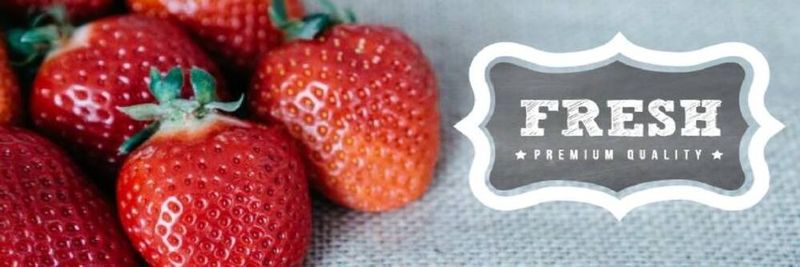 Bamford Produce Company Limited - supplier and manufacturer from Canada