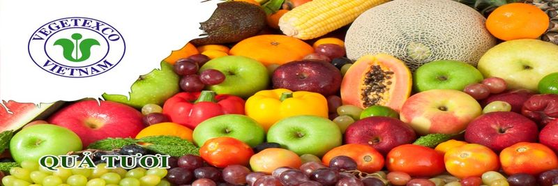 Vegetexco Vietnam - supplier and manufacturer from 베트남