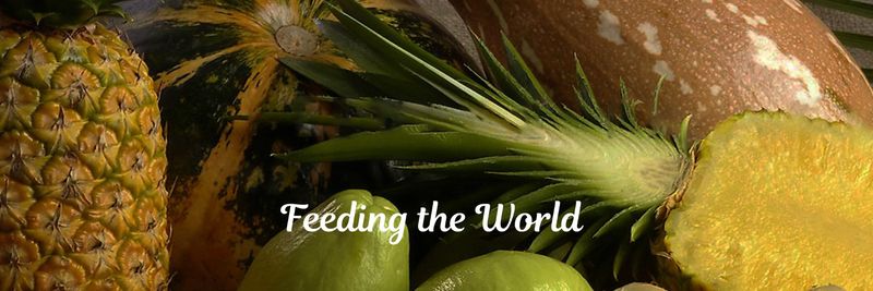 Tropifoods EIAE S.A. - supplier and manufacturer from Costa Rica