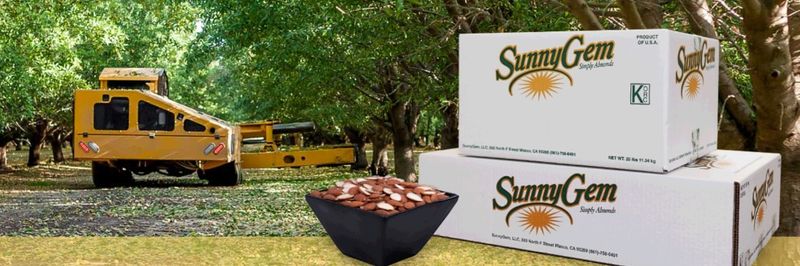 SunnyGem LLC - supplier and manufacturer from 미국