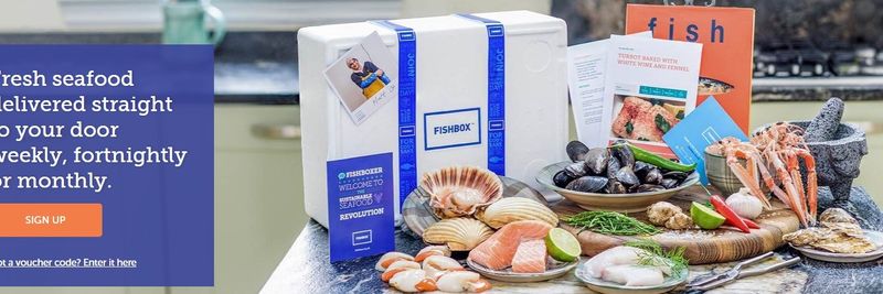Fishbox Ltd - supplier and manufacturer from United Kingdom