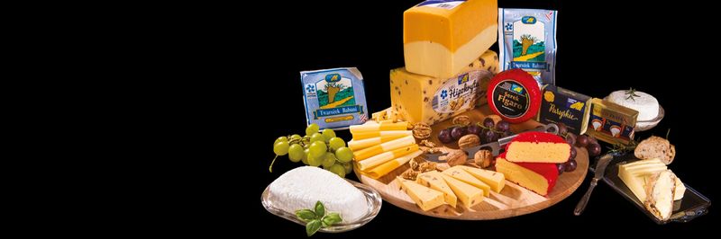 MICHOWIANKA SPOLDZIELNIA MLECZARSKA - supplier and manufacturer from Poland