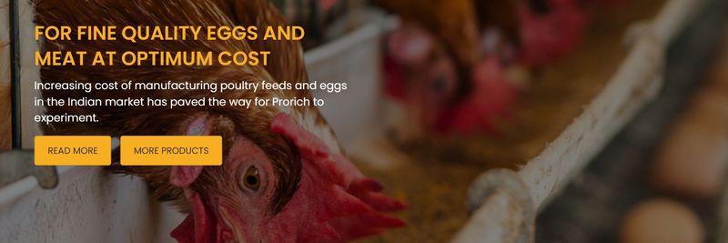 Prorich Agro Foods - supplier and manufacturer from 인도