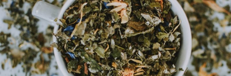 Top Herbs - supplier and manufacturer from 이집트
