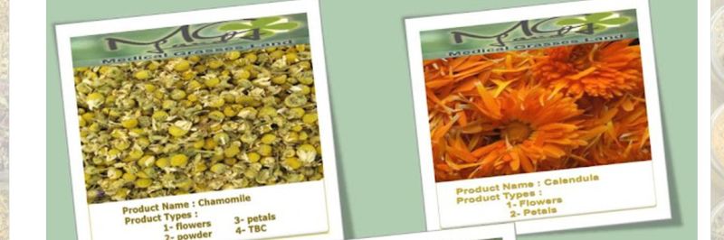 MEDICAL GRASSES LAND CO. - supplier and manufacturer from Egypt