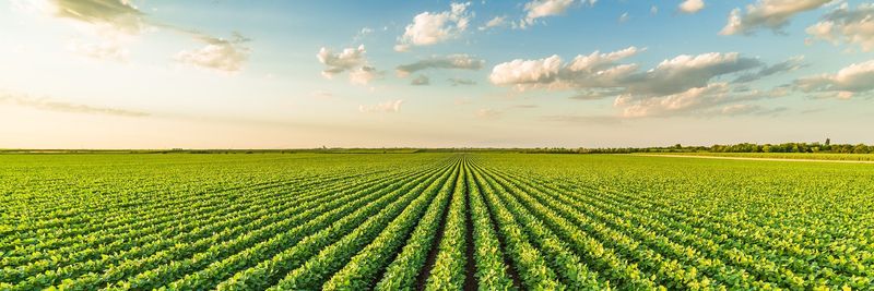 International Feed Worldwide - supplier and manufacturer from United States