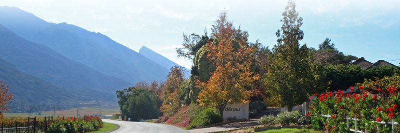 Denau Fruit - supplier and manufacturer from South Africa