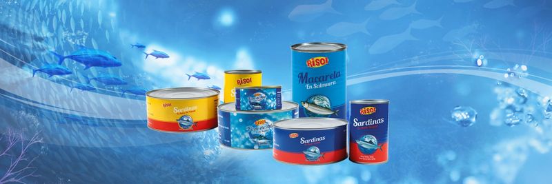 Xiamen Carisol Trading Co.,Ltd. - supplier and manufacturer from 중국