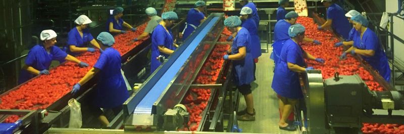 Damavand S.A. - supplier and manufacturer from Greece