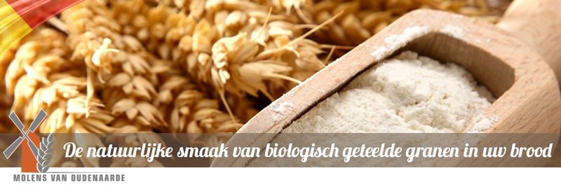 Molens van Oudenaarde bvba - supplier and manufacturer from 벨기에