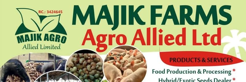 MAJIK HACTH AGRO ALLIED - supplier and manufacturer from 나이지리아