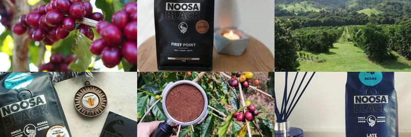 Noosa Black Coffee - supplier and manufacturer from 호주