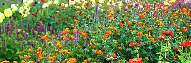 Wilderbee Farm - supplier and manufacturer from 미국