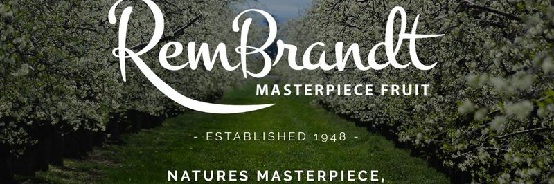 RemBrandt Masterpiece Fruit - supplier and manufacturer from 미국