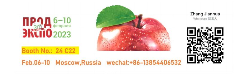 Shandong Weifang Import and Export Co., Ltd. - supplier and manufacturer from 중국