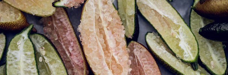 Good Land Organics - supplier and manufacturer from United States