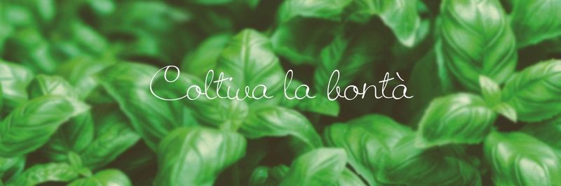 Naturello S.p.A. - supplier and manufacturer from Italy