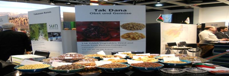 Takdana Co. Ltd. - supplier and manufacturer from 아프가니스탄