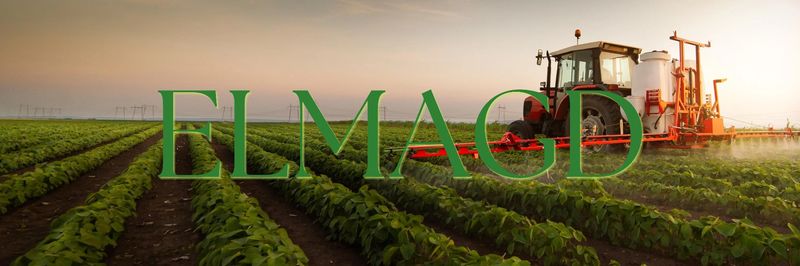 Magd Agricultural Crops - Verified supplier and manufacturer from Egypt