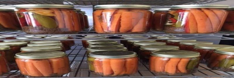 Pick-A-Peck Pickles - supplier and manufacturer from 미국