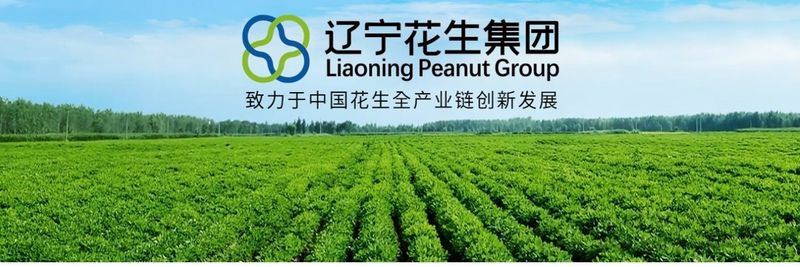 Liaoning Zhengye Peanut Industry Development Co., Ltd - supplier and manufacturer from 중국