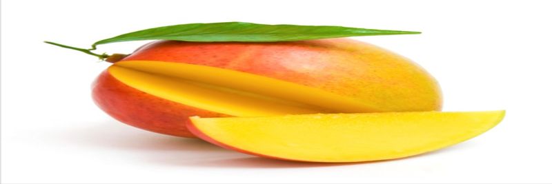 Cape Fruit Processors (Pty) Ltd - supplier and manufacturer from 남아프리카공화국