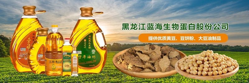 Heilongjiang Blue Ocean Soybean Food Co.Ltd. - supplier and manufacturer from 중국