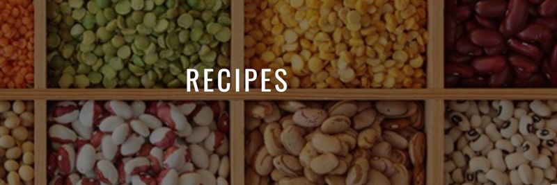 21st Century Bean Processing Llc - supplier and manufacturer from United States
