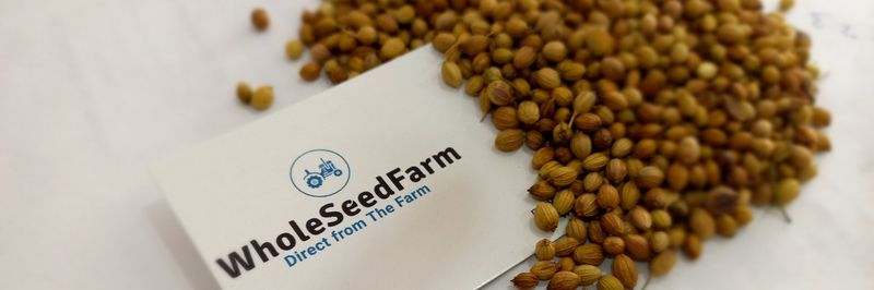 WholeSeedFarm - Verified supplier and manufacturer from India