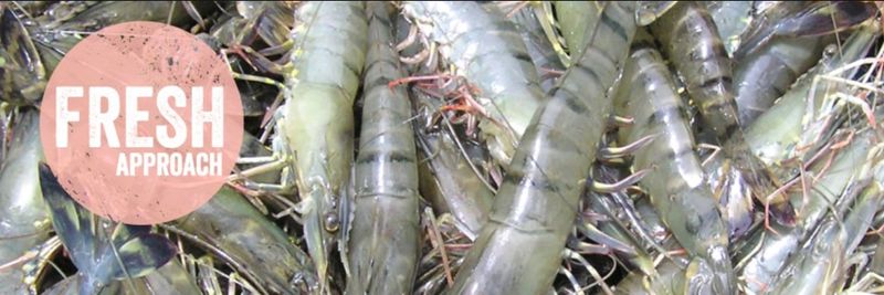 Lyons Seafoods Ltd. - supplier and manufacturer from United Kingdom