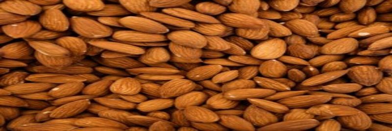 Heidi's Dried Fruit and Nuts - supplier and manufacturer from 남아프리카공화국