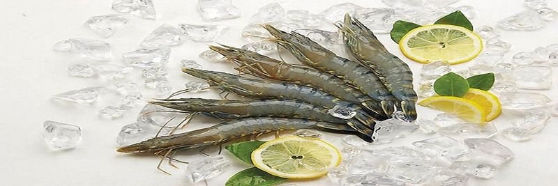 STAR SEA FOOD IND. LTD. - supplier and manufacturer from Bangladesh