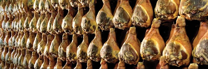 Meat Hoste - supplier and manufacturer from 벨기에