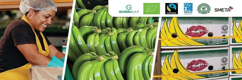 GRUPO IREN FRUITS, S.L. - supplier and manufacturer from 스페인