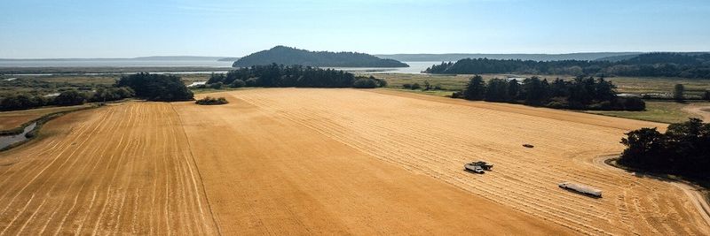 Skagit Valley Malting, Inc. - supplier and manufacturer from 미국