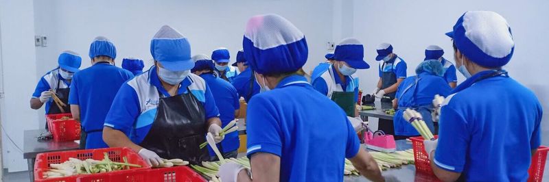 Blue Jay Oriental Foods Thailand Ltd - supplier and manufacturer from 태국