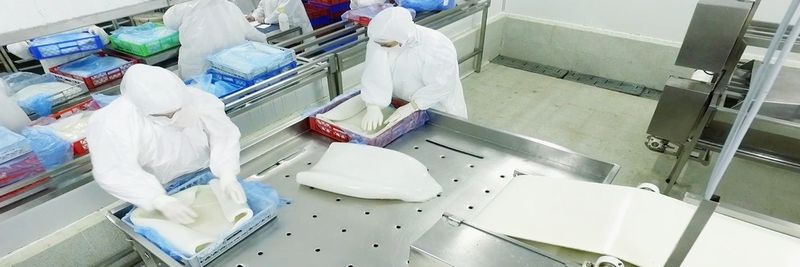 Sociedad Pesquera Comercial Chaicas Ltda - supplier and manufacturer from 칠레