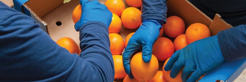 Jubilant Consumer Private Limited - supplier and manufacturer from India