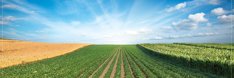 Albert Lea Seed House - supplier and manufacturer from United States