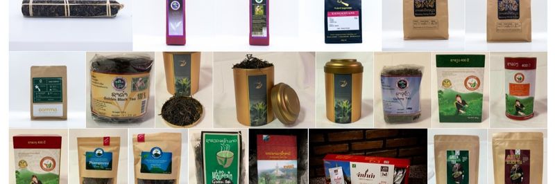 LAO GOLD CHAMPA TEA SOLE CO.LTD - supplier and manufacturer from Laos