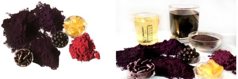 Just the Berries - supplier and manufacturer from 미국